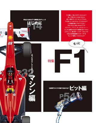 F1速報PLUS（エフワンソクホウプラス） VoL.17