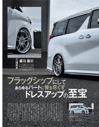 STYLE RV（スタイルRV） Vol.146 トヨタ アルファード＆ヴェルファイア No.14