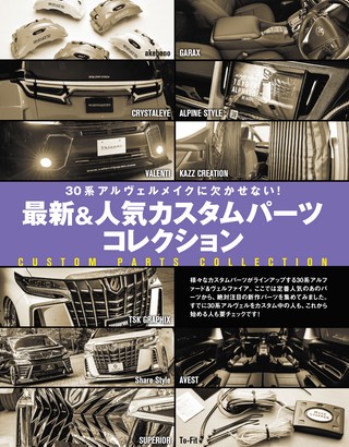 STYLE RV（スタイルRV） Vol.164 トヨタ アルファード＆ヴェルファイア No.19