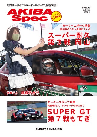 AKIBA Spec(アキバスペック) Vol.133 2020年12月号