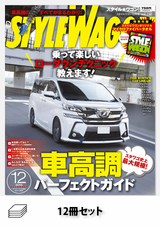 STYLE WAGON 2015年セット［全12冊］